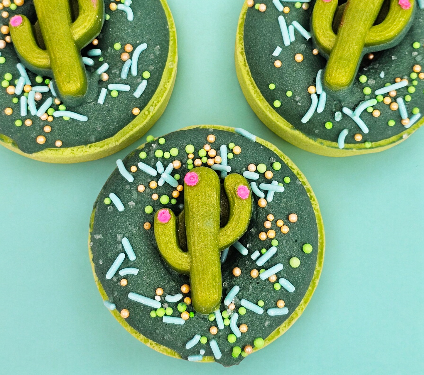 Baja Cactus Bath Bomb Donut