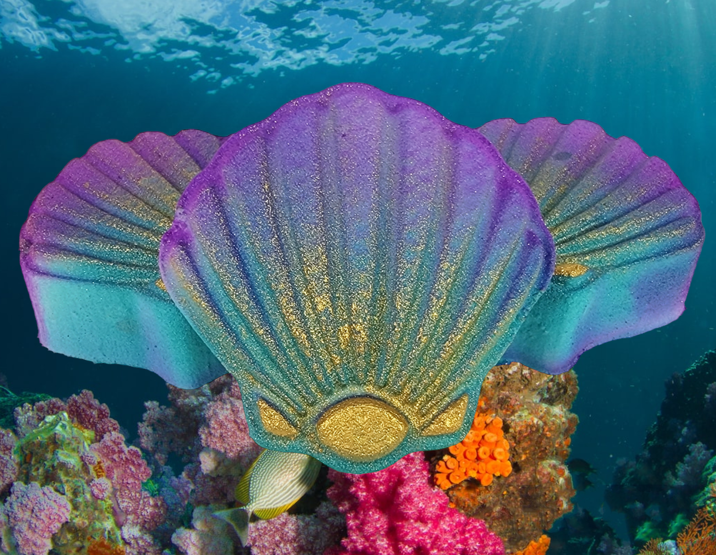 Sea shell Bath Bomb